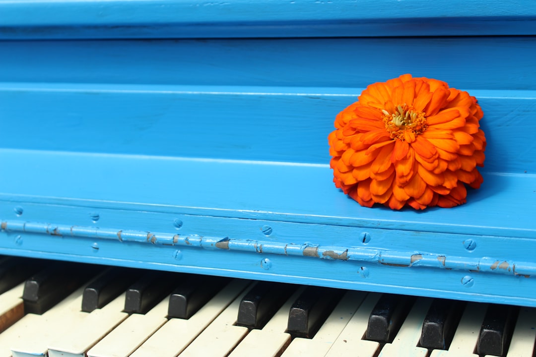 15 Happy Birthday Piano Ideas Today to Elevate Your Party