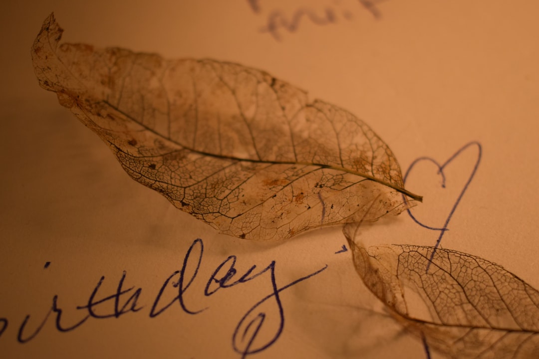 30 Birthday Greetings to a Special Friend Today to Warm Their Heart