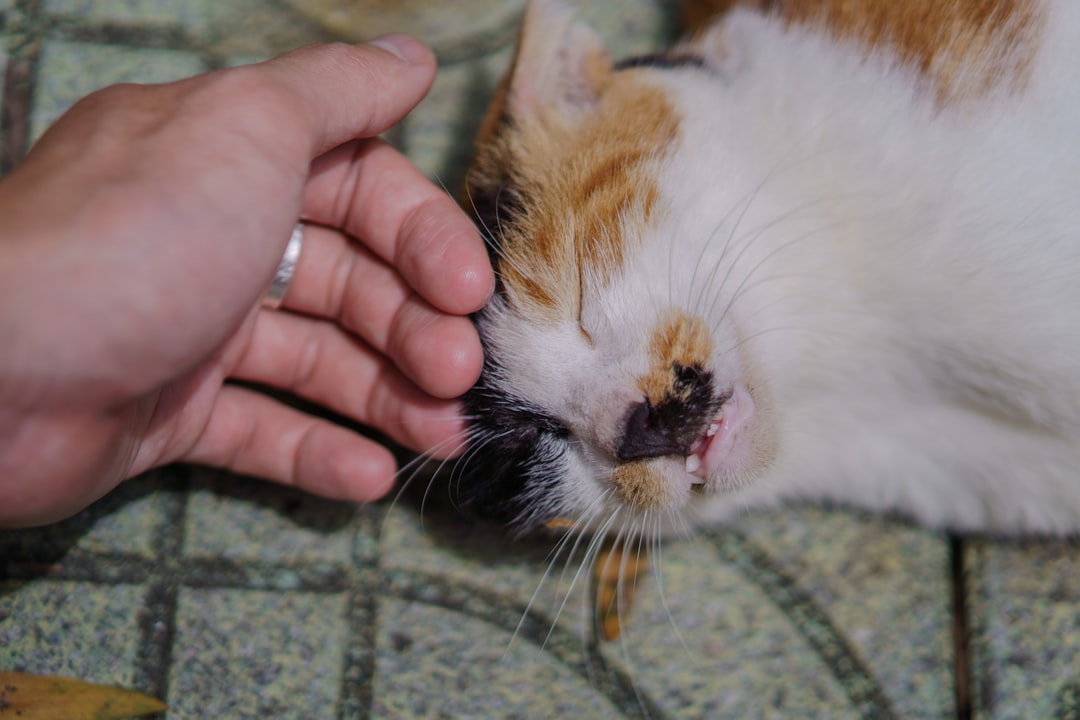 Touching Birthday Wishes for Best Friend