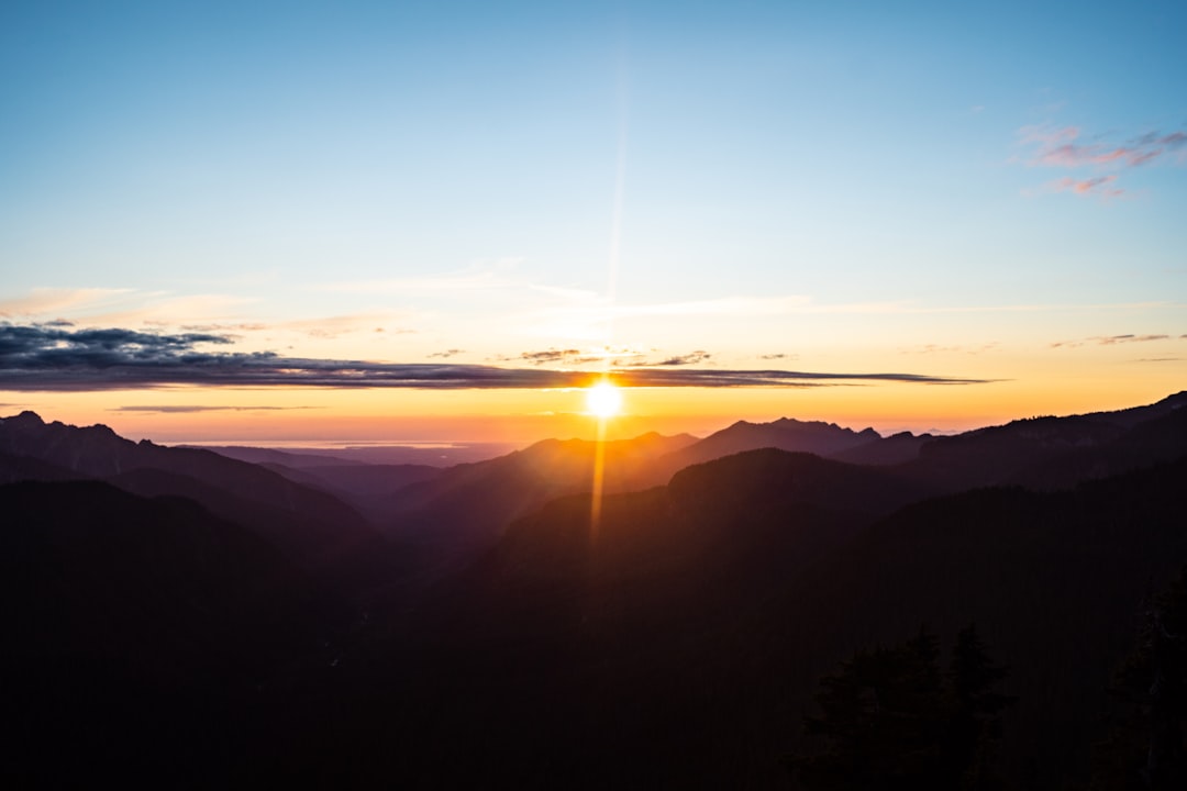 35 Positive Sunrise Quotes for Early Mornings to Brighten Your Day