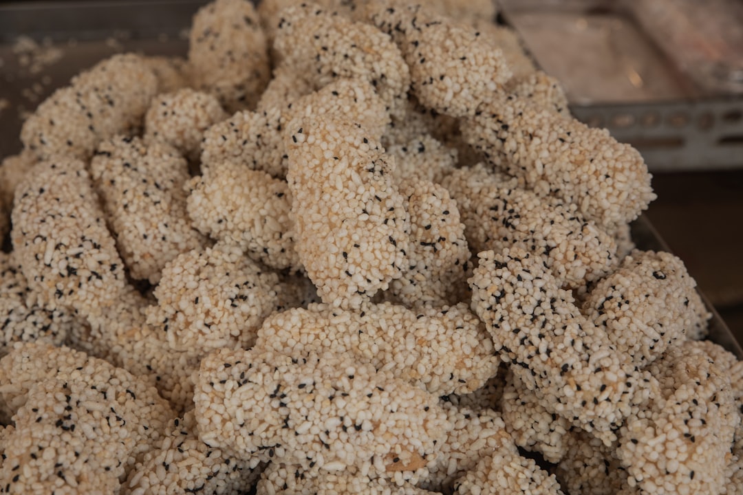 Full Grown Chihuahua Poodle Mix Care Guide